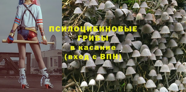 мяу мяу мука Алексеевка