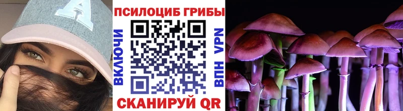 Псилоцибиновые грибы GOLDEN TEACHER  Орлов 